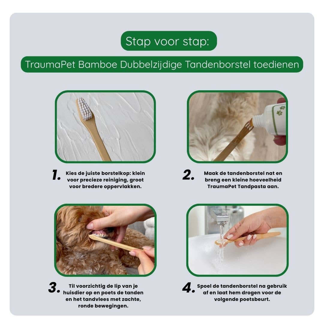 TraumaPet Gebitsverzorging Set – complete mondverzorging
