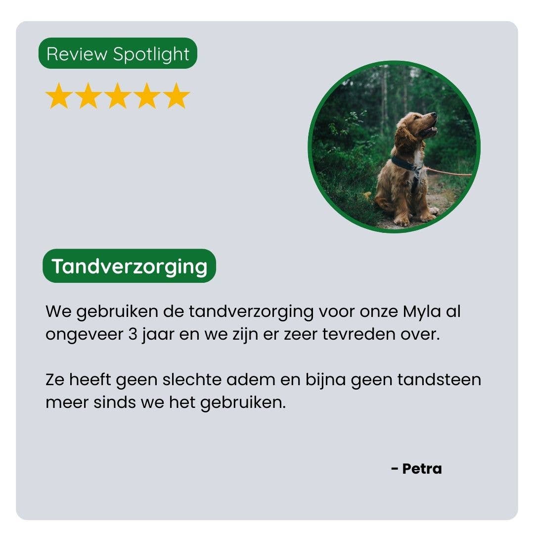 TraumaPet Gebitsverzorging Set – complete mondverzorging