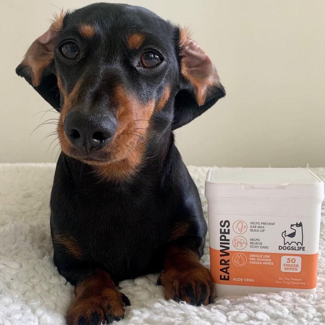 Oorreinigingsdoekjes voor Honden