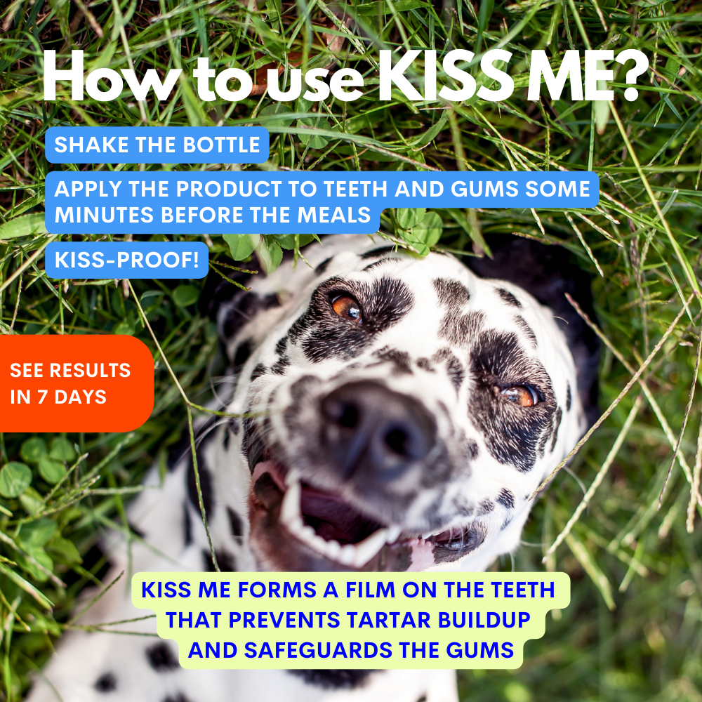 Kiss Me – Natuurlijke Tandenspray tegen Slechte Adem
