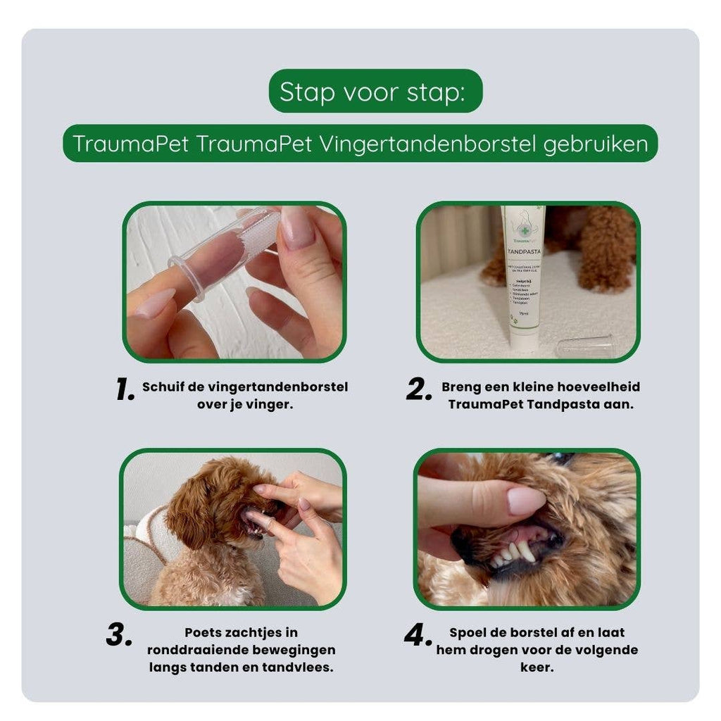 TraumaPet Gebitsverzorging Set – complete mondverzorging