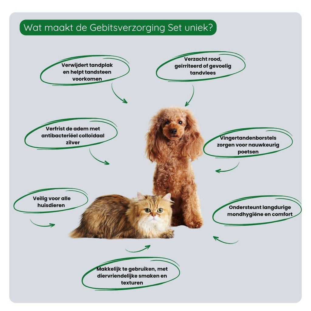 TraumaPet Gebitsverzorging Set – complete mondverzorging