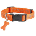 Bobby Safe Collar
