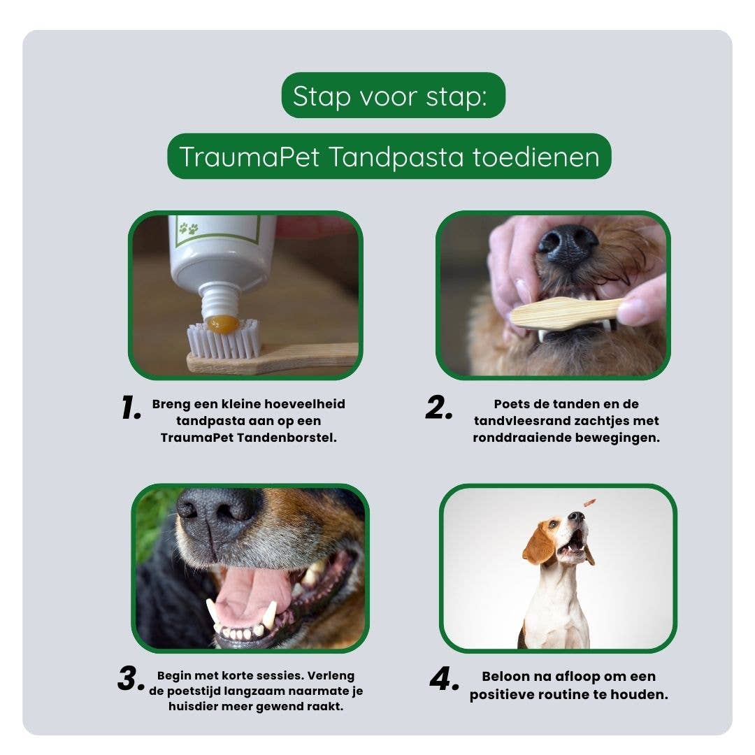 TraumaPet Gebitsverzorging Set – complete mondverzorging