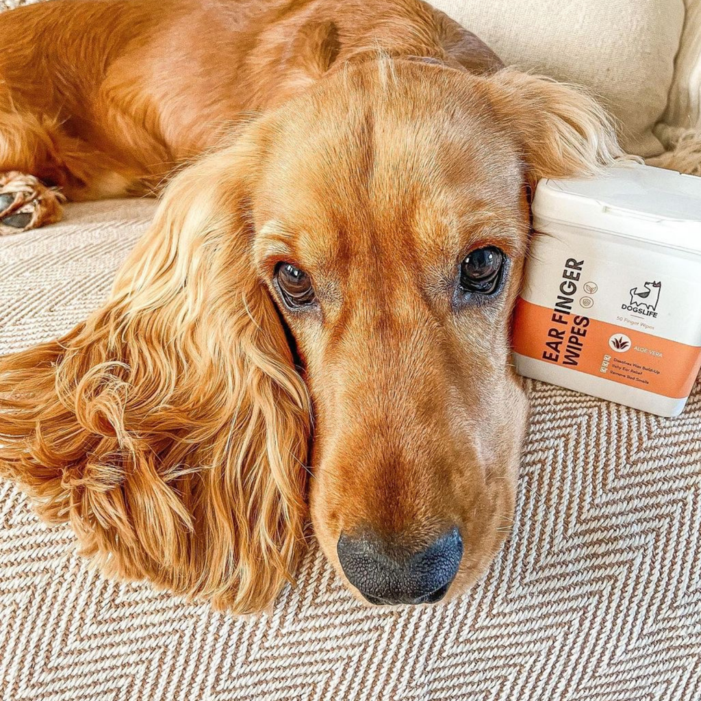 Oorreinigingsdoekjes voor Honden