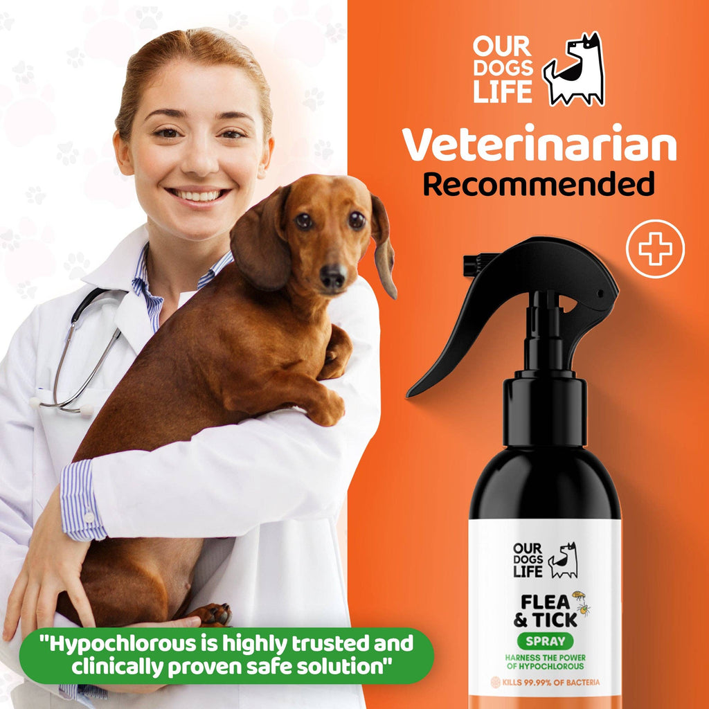 Vlooien- en Tekenspray voor Honden
