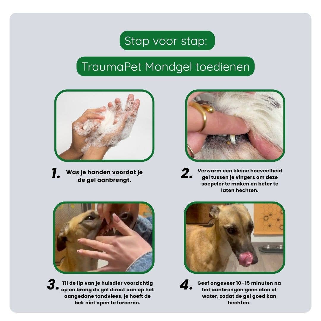 TraumaPet Gebitsverzorging Set – complete mondverzorging