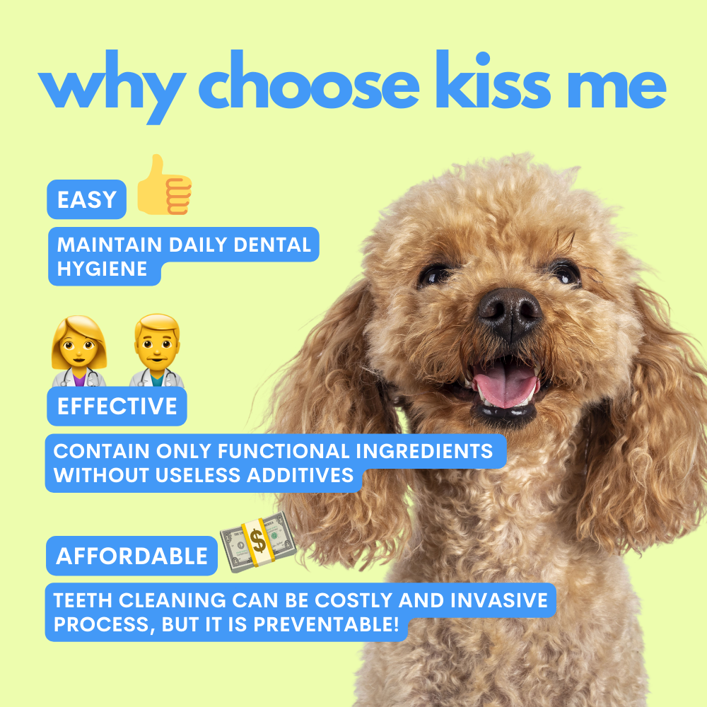 Kiss Me – Natuurlijke Tandenspray tegen Slechte Adem