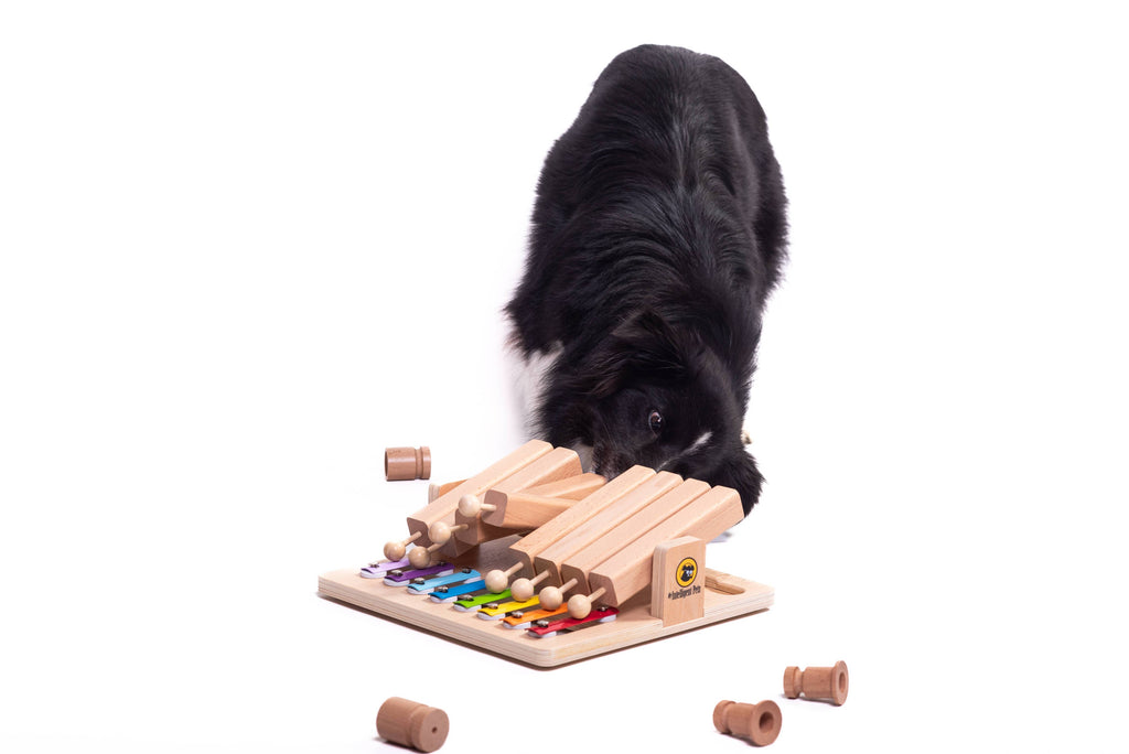 Piano – (Interactief Speelgoed van het Jaar!)