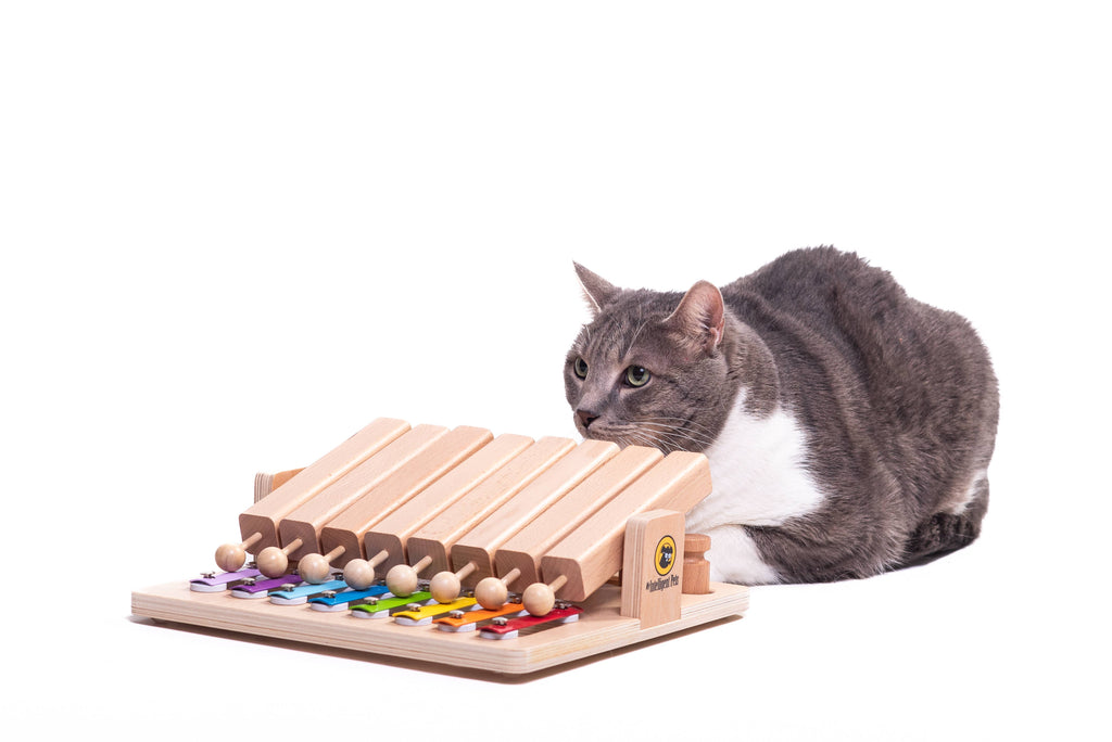 Piano – (Interactief Speelgoed van het Jaar!)