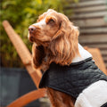 Luxe Quilted Dog Coat – Midnight Black | Cocker Spaniel