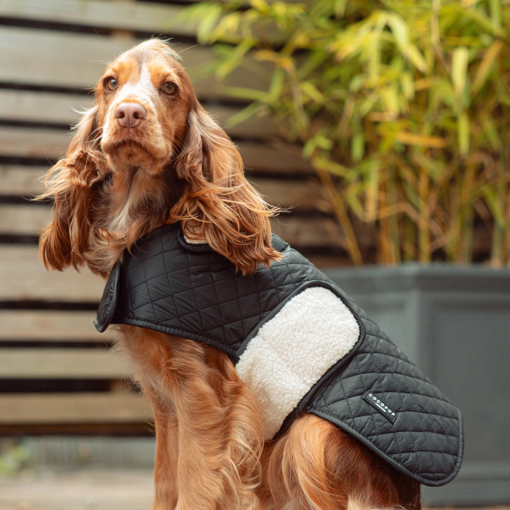 Luxe Quilted Dog Coat – Midnight Black | Cocker Spaniel