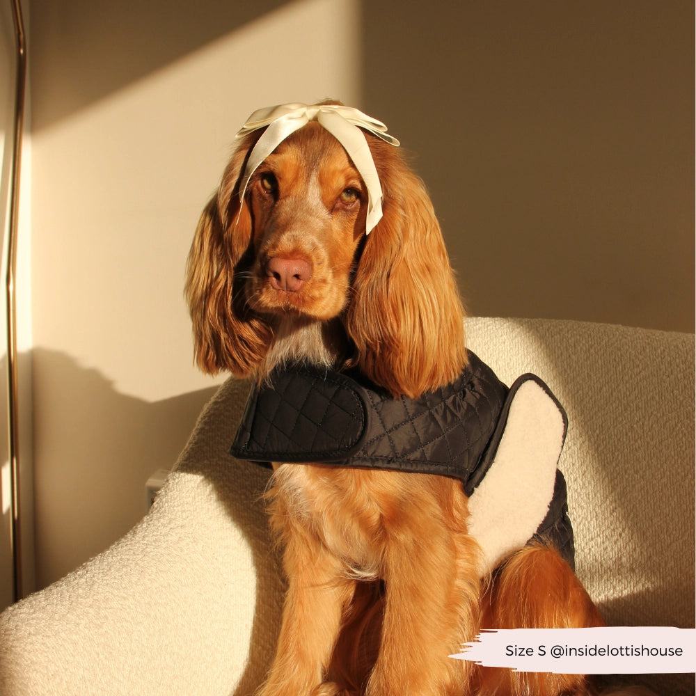 Luxe Quilted Dog Coat – Midnight Black | Cocker Spaniel