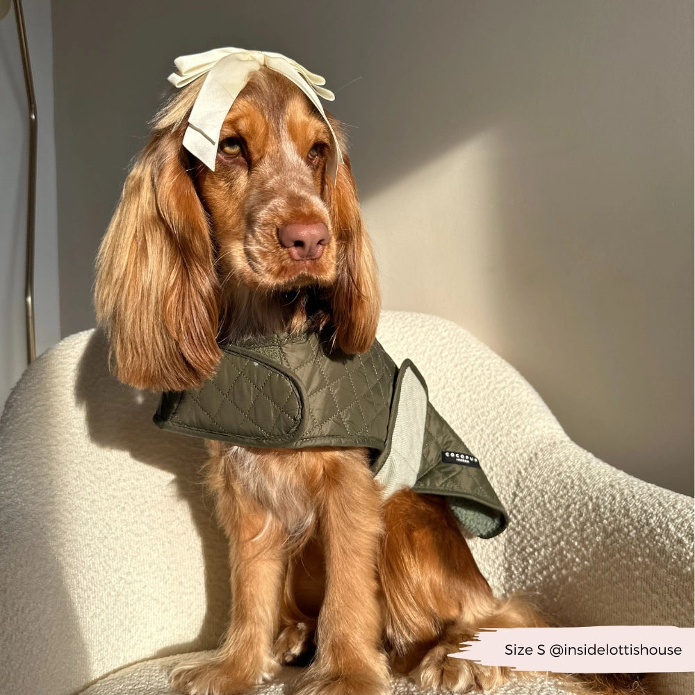 Luxus-Steppmantel für Hunde – Country Khaki | Cocker Spaniel