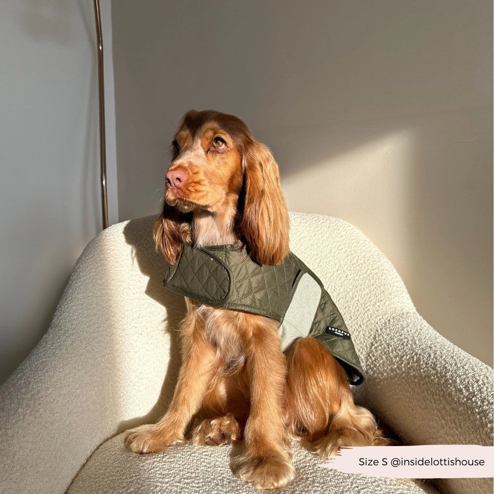 Luxus-Steppmantel für Hunde – Country Khaki | Cocker Spaniel